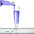 Champagne Glass - C7025A
